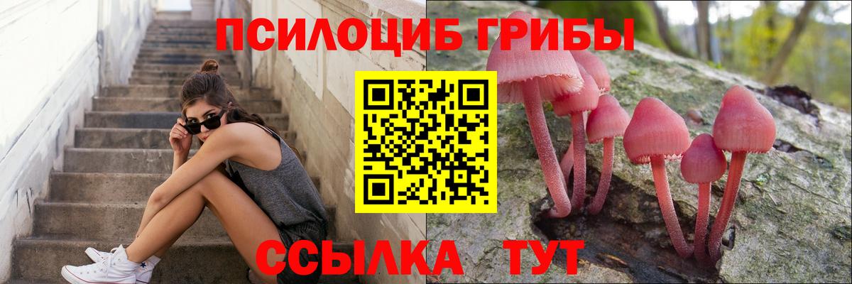 Отрадный  Псилоцибиновые грибы MAGIC MUSHROOMS  Псилоцибиновые грибы GOLDEN TEACHER  Вход с VPN 